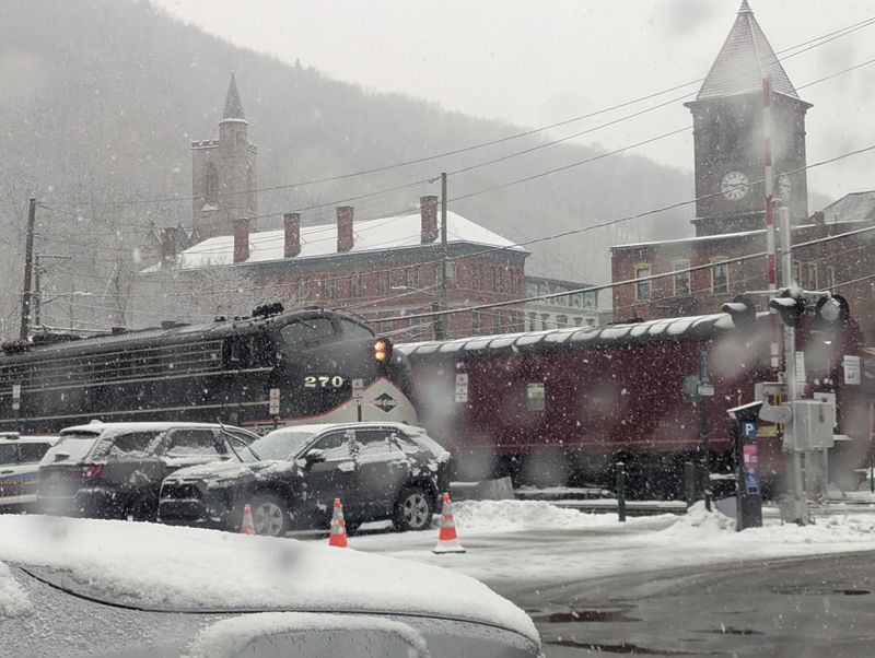 Dogs Are Welcome Aboard for Pet-Friendly Family Adventures