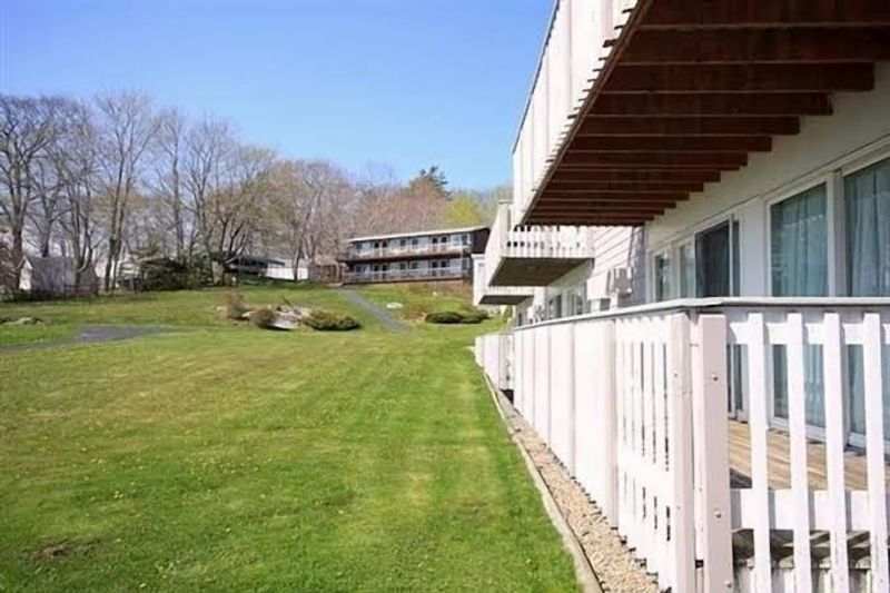 Dogs Get A Maine Getaway Too