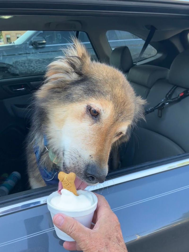Dogs Get A Treat Too