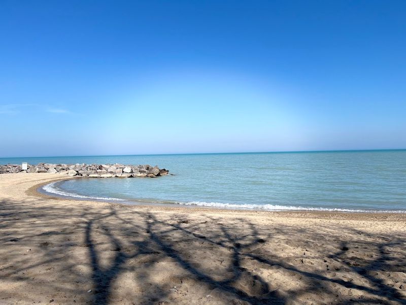 Dogs Get Their Own Shoreline Dogs Get Their Own Shoreline