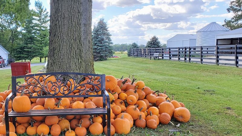 Dollinger Family Farm, Channahon, IL
