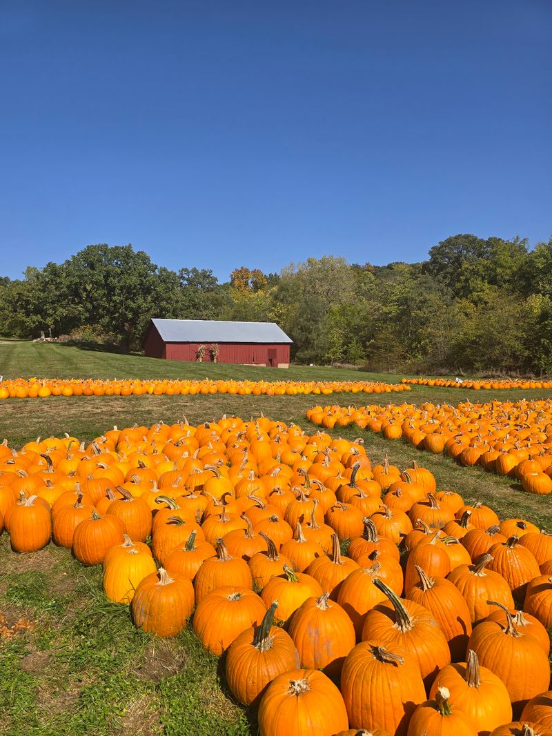 Dollinger Family Farm
