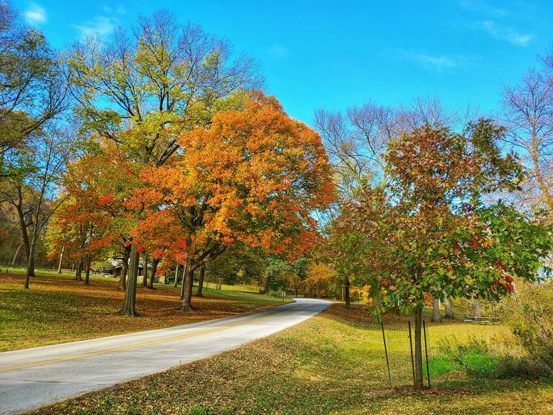 Dolliver Memorial State Park, Lehigh