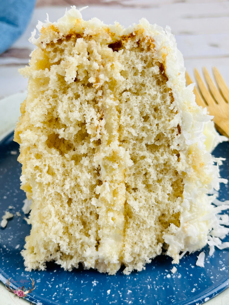 24+ Dolly Parton Coconut Cake Recipe