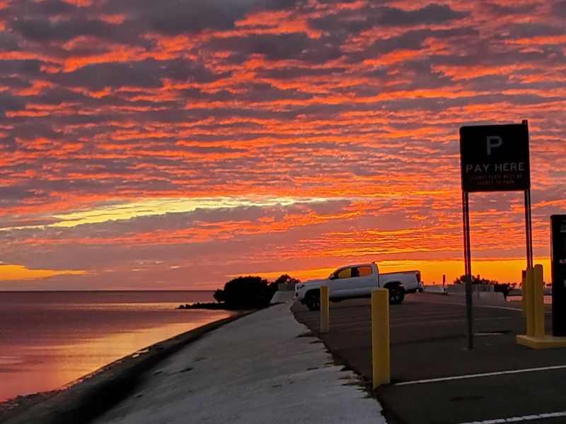 Kayaking Through Mangrove Tunnels