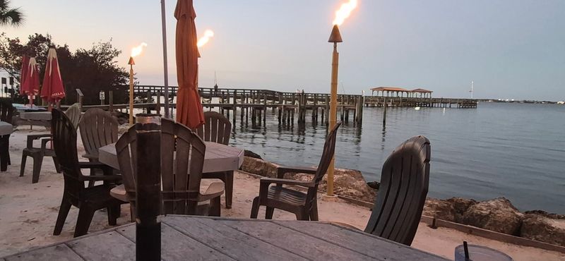Dolphins Actually Show Up During Dinner
