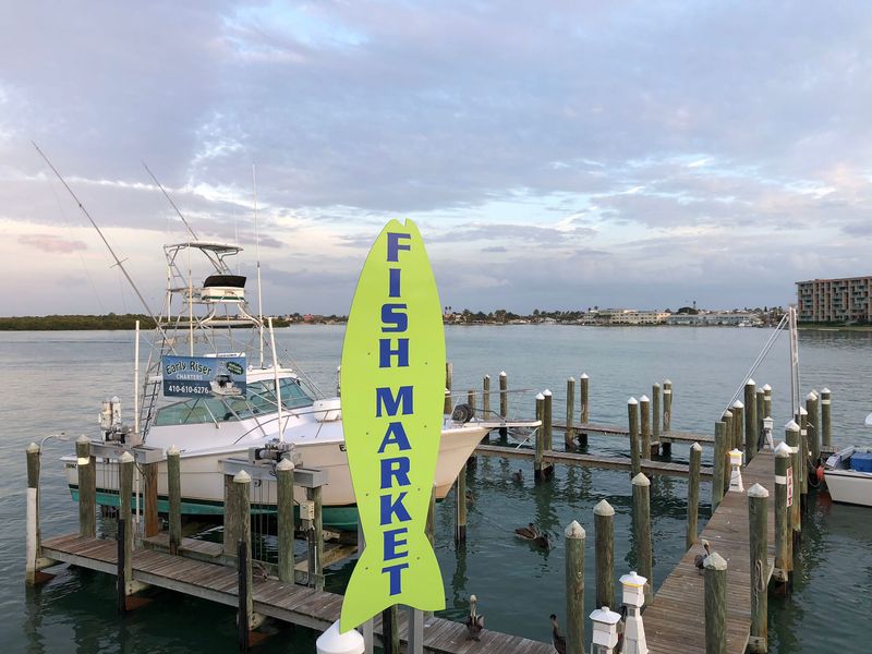 Seafood Right Off The Docks