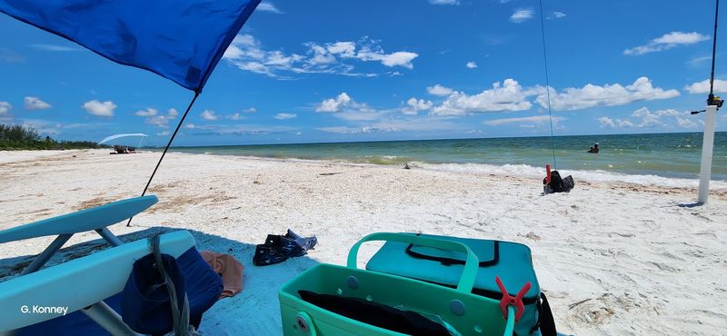 Shelling That Will Empty Your Pockets Fast