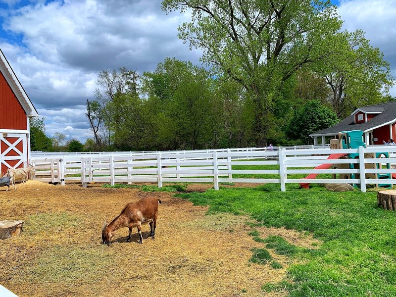 Heritage Park Petting Farm, Taylor