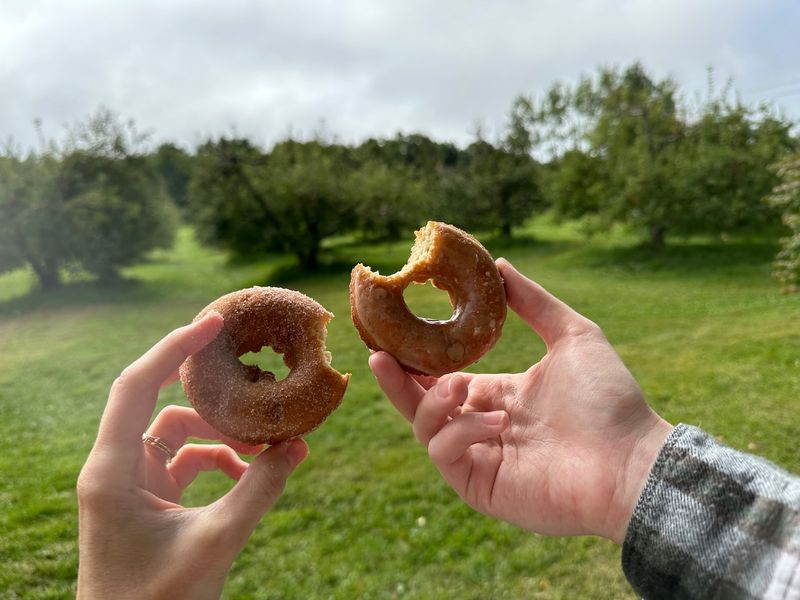 Donuts And Cider Worth The Drive