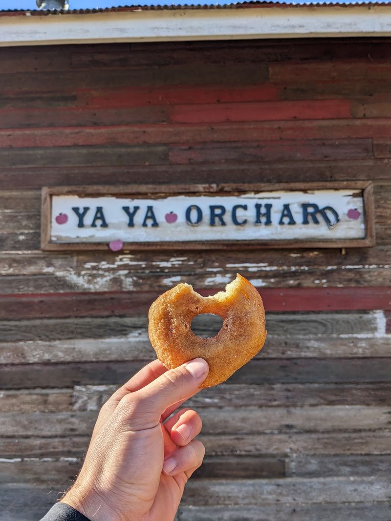 Donuts Without An Apple Picking Reservation