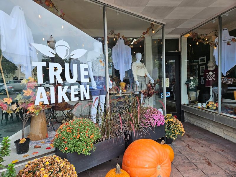 Downtown Aiken's Boutique Shopping Scene Downtown Aiken's Boutique Shopping Scene