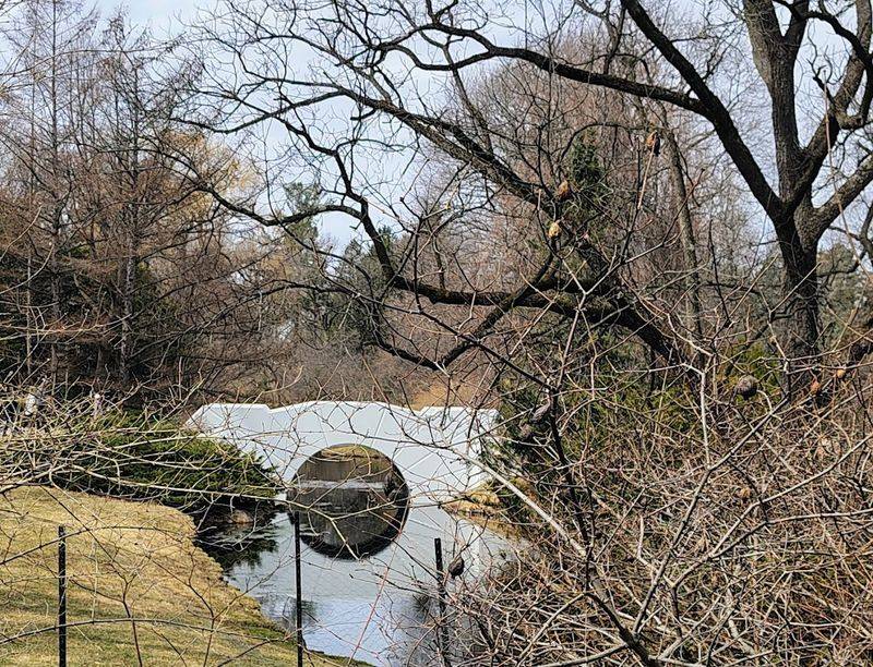 Dow Gardens, Midland