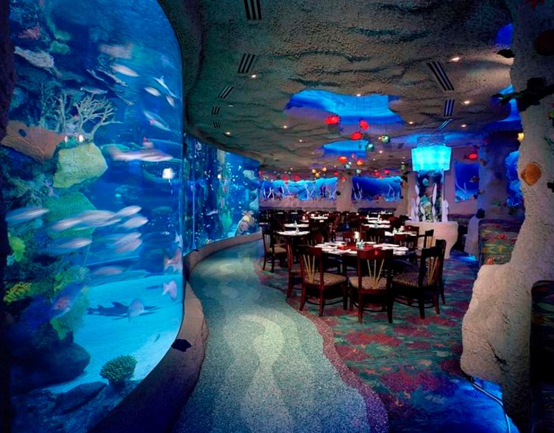 Downtown Aquarium Downtown Aquarium