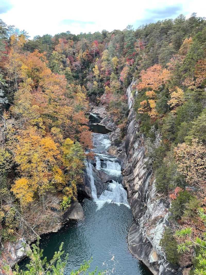 Tallulah Gorge Day Trip