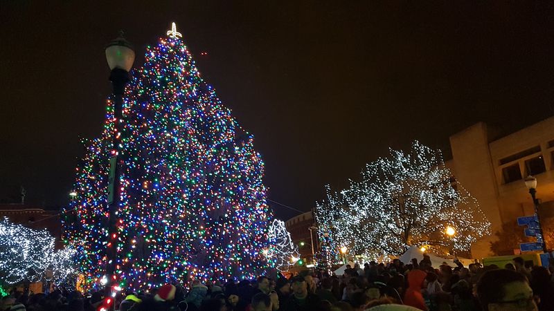 Downtown Holland Holiday Lights