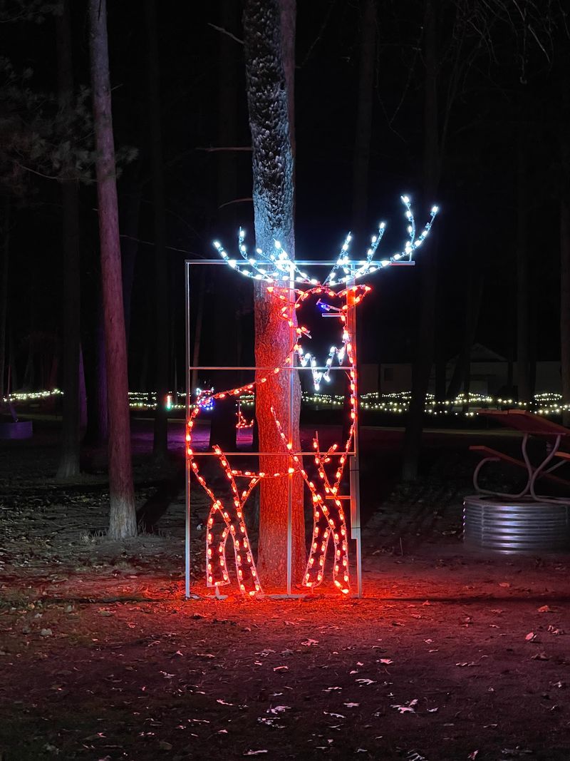 Downtown Traverse City Holiday Lights