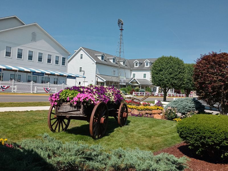 Countryside Bed And Breakfasts