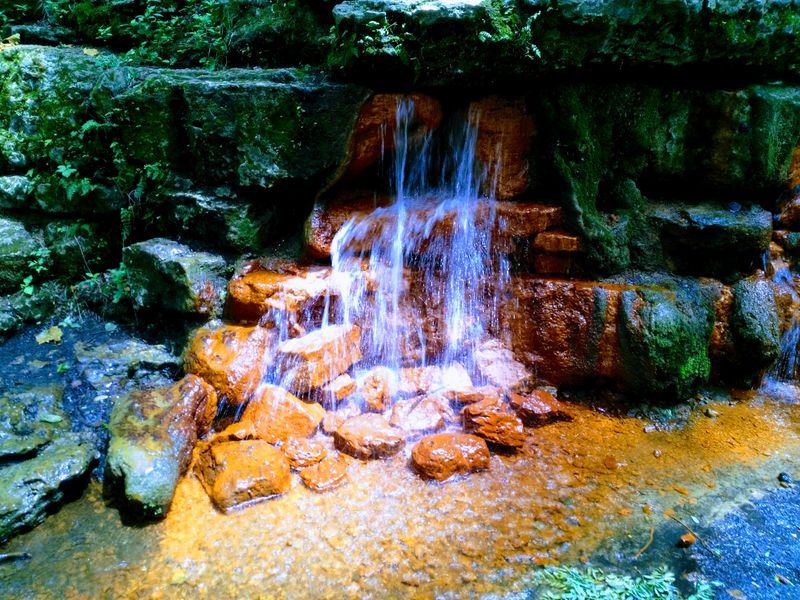 The Yellow Spring At Glen Helen