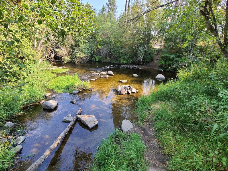 Dragoon Creek, Deer Park, WA