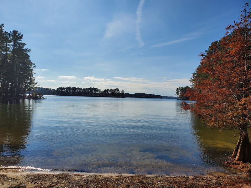Dreher Island State Park, Lake Murray Dreher Island State Park, Lake Murray
