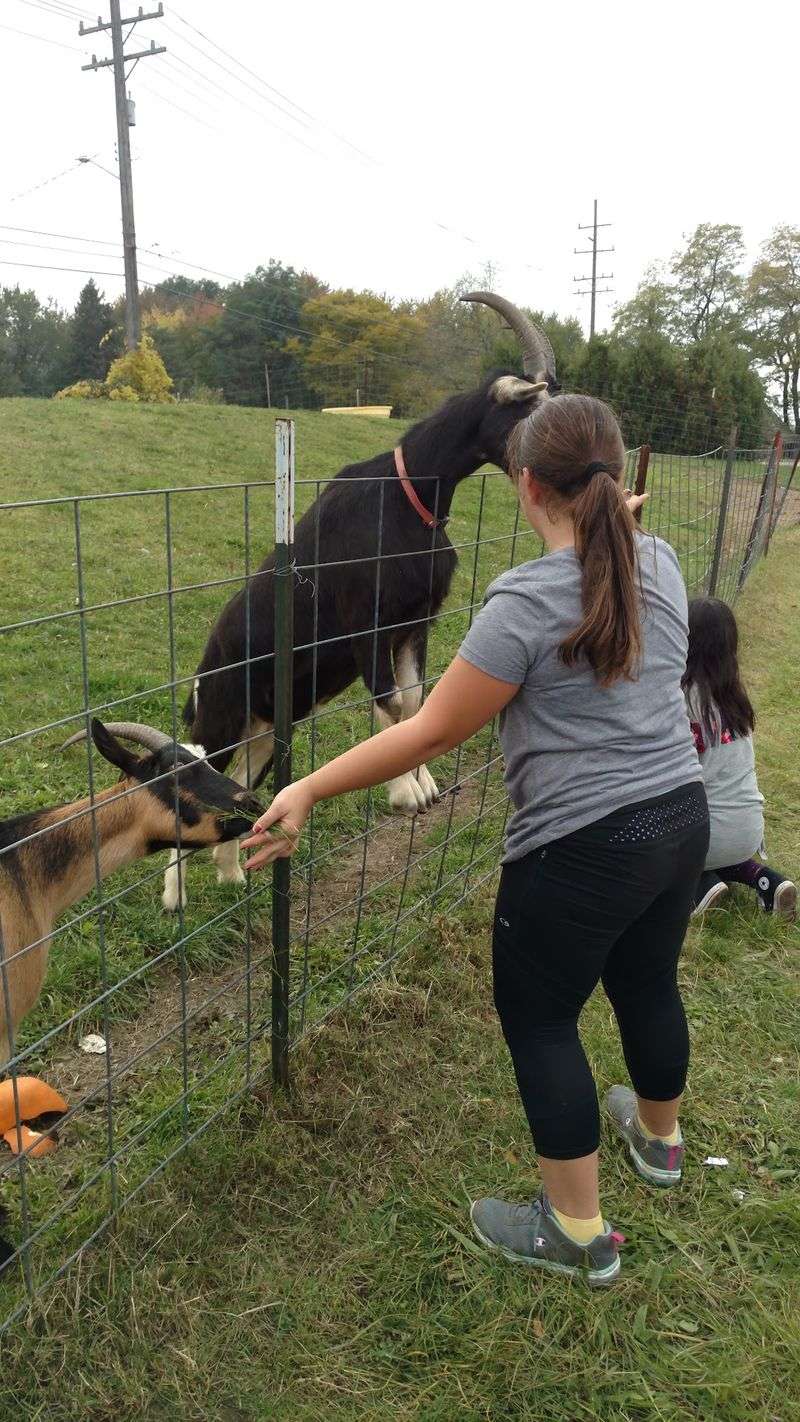 Dress For A Real Farm Day