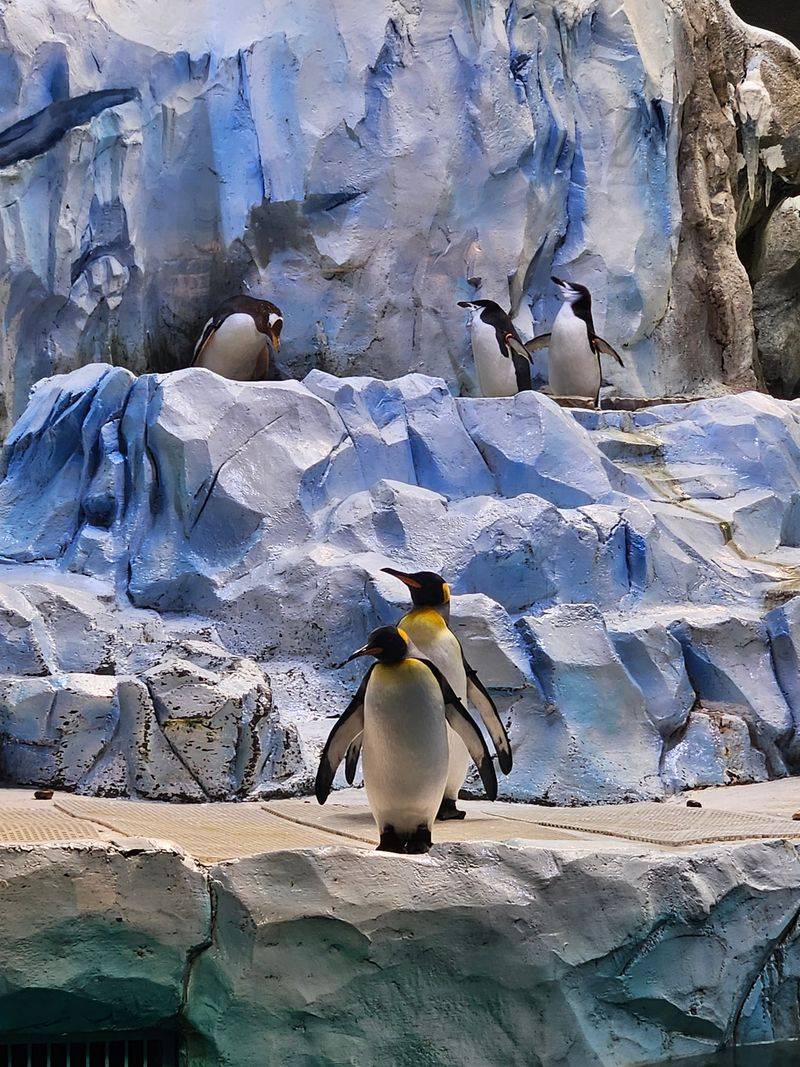 Arrive With Time To Wander