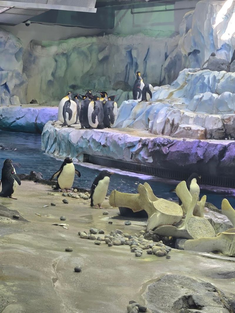 Use The Map And Plan Gentle Loops