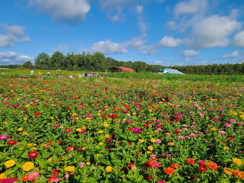 Use The Farm As A Photography Setting, Not A Studio