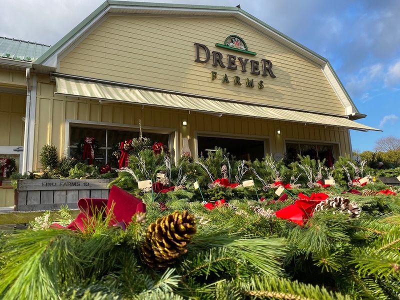 Dreyer Farms