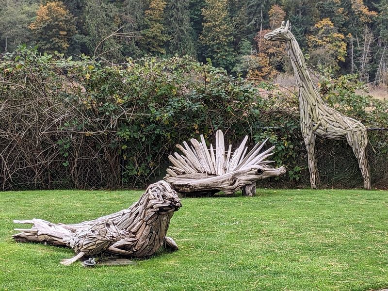 Driftwood Forts And Log Sculptures Up And Down The Beach