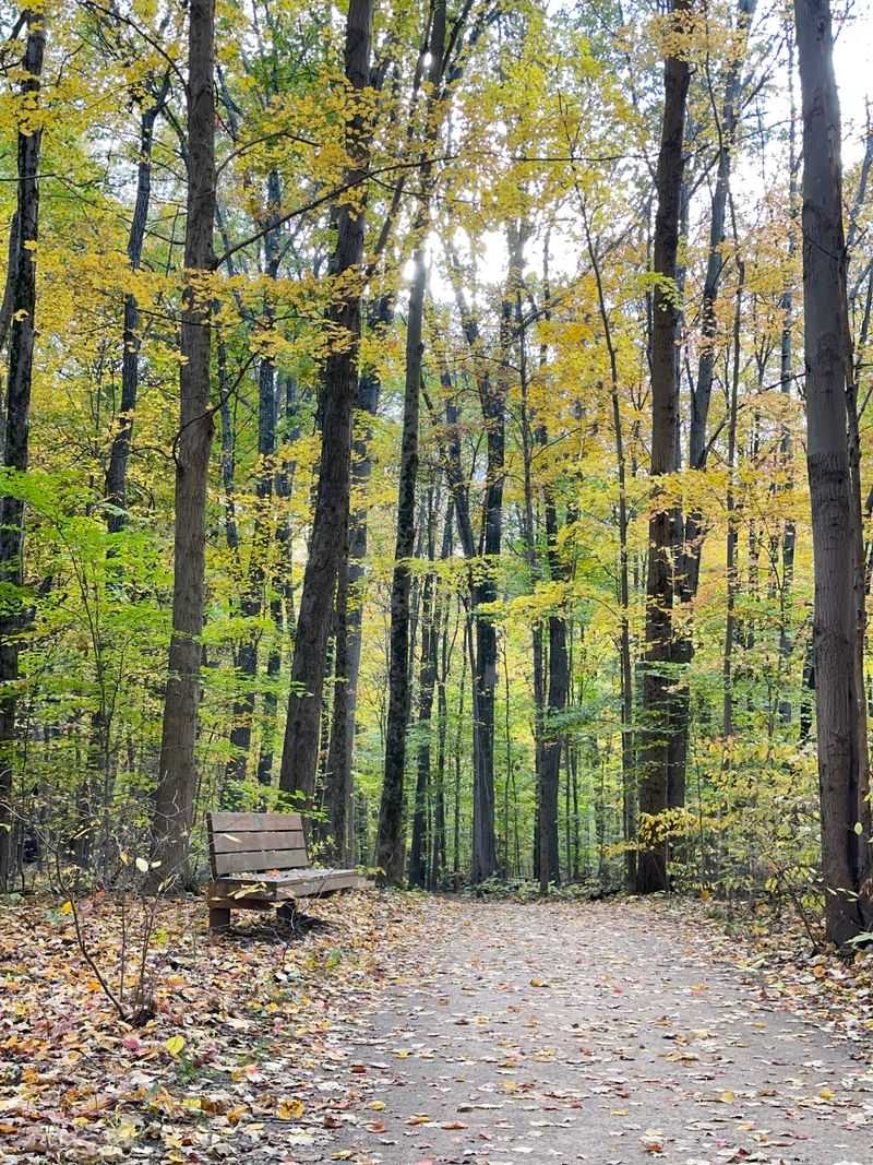 Dripping Rock Trail, Highbanks Metro Park