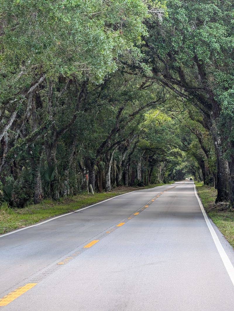 Textures Of Old Florida: Sights, Sounds, Smells