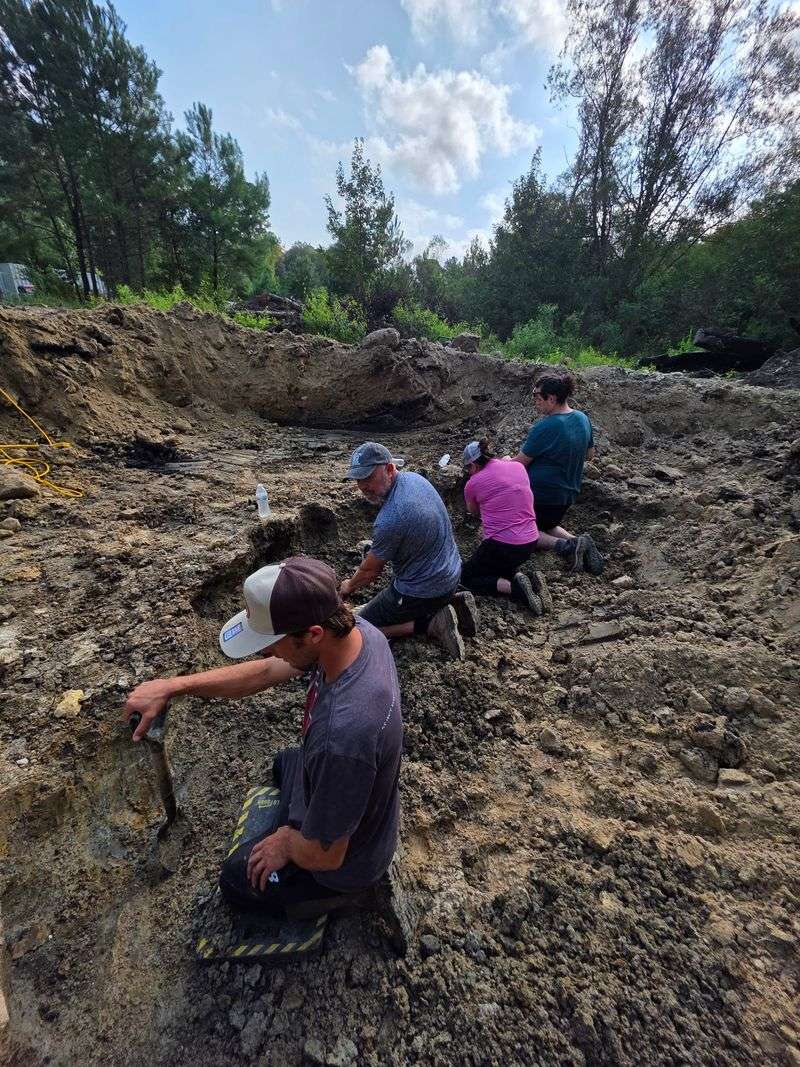 Dry Digs Turn You Into A Field Paleontologist