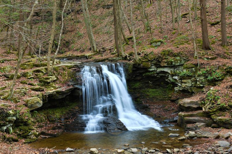 Dry Run Falls, Hillsgrove