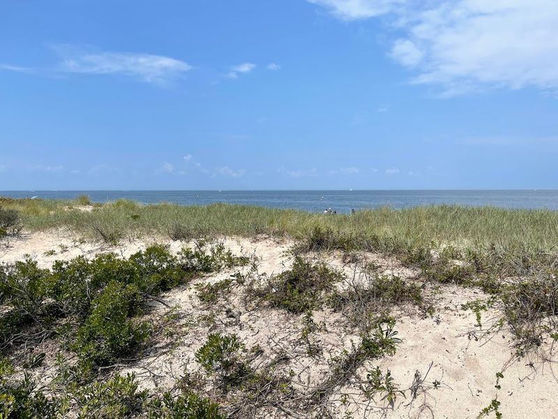 Cedar Key, Nature Coast