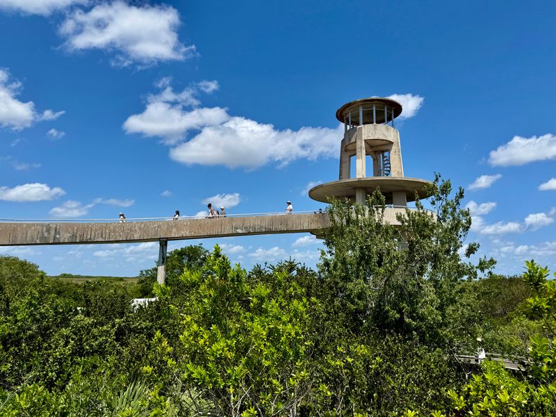 Everglades National Park (Shark Valley)