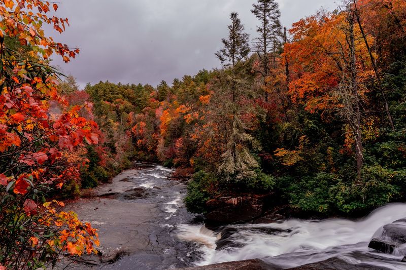 DuPont State Recreational Forest