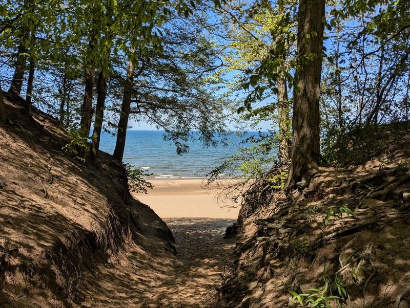 Saugatuck Dunes State Park, Saugatuck