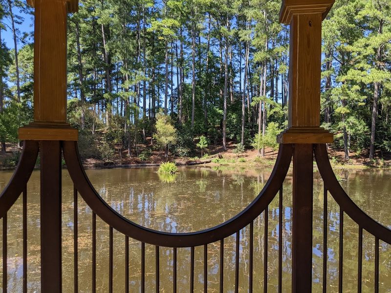 Duck Pond And Gazebo Create Picture-Perfect Moments