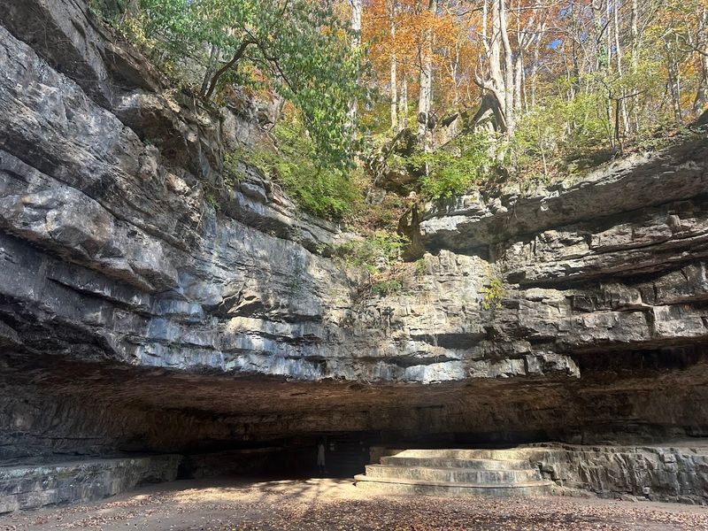 Dunbar Cave State Park