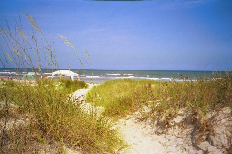 Dunes That Protect The Island