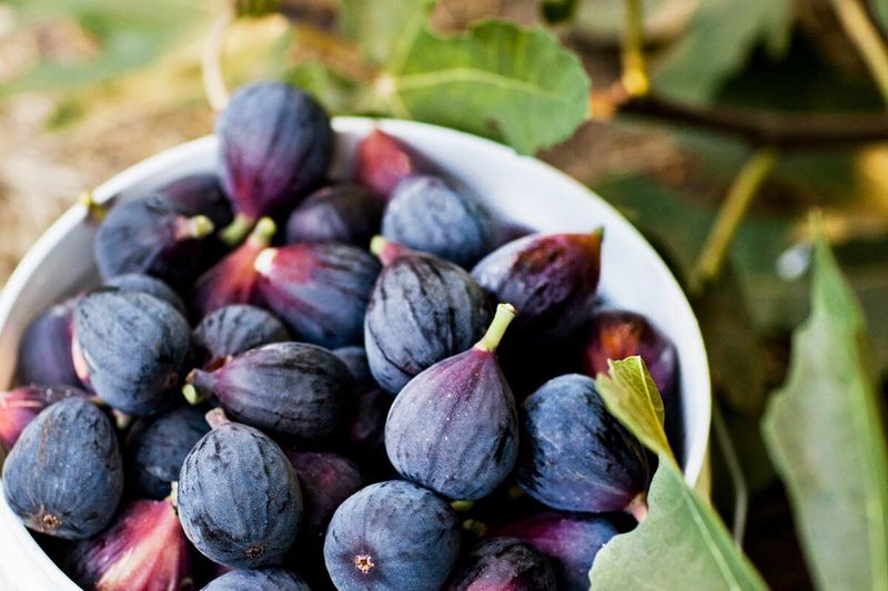 Mission Figs: Sweet Fruits of the Padres