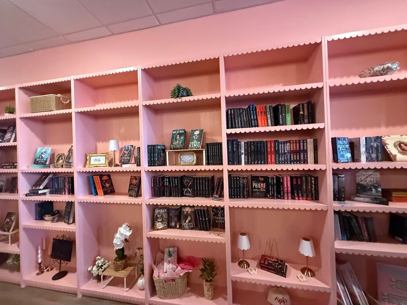 Dust and Blush Book Shop Dust and Blush Book Shop