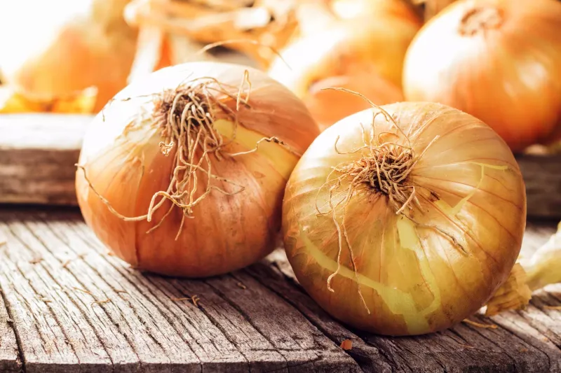 Walla Walla Sweet Onions: Tearless Treasures