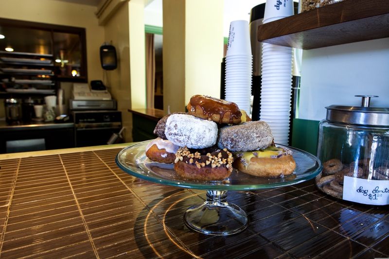 Dynamo Donut & Coffee Dynamo Donut & Coffee