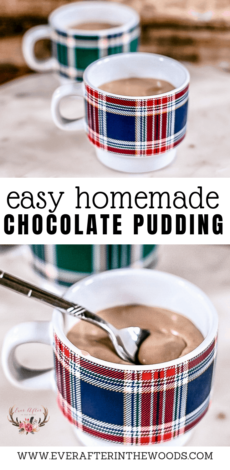 homemade chocolate pudding easy recipe