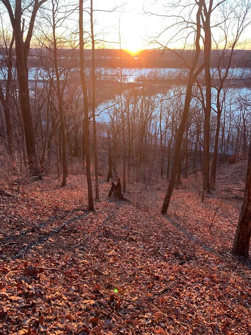 Eagle Watching, Dark Skies, And River Sunsets
