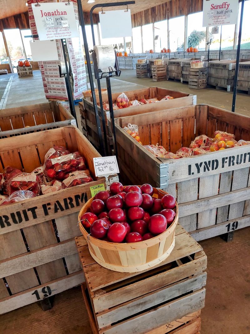 Early Apples Rolling In