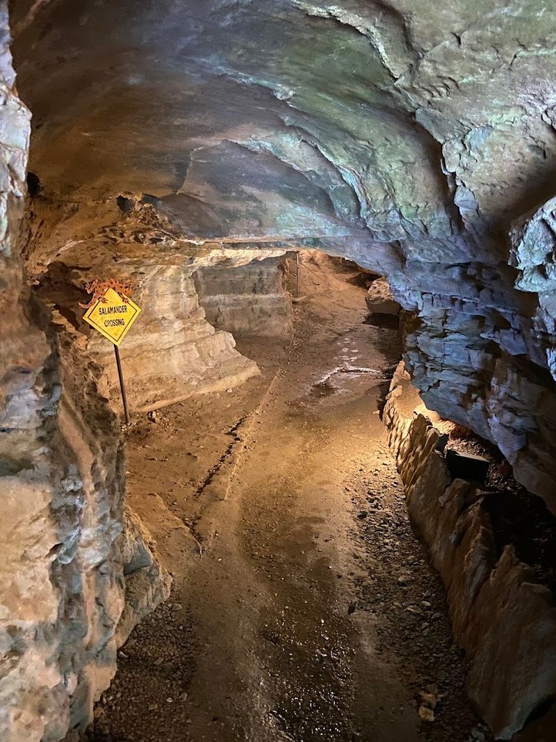 Local Folklore Links Hidden Wealth To Spanish Explorers